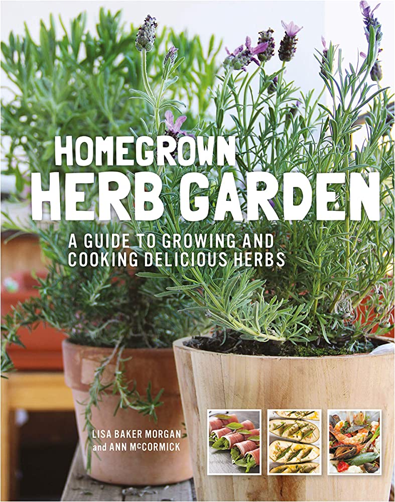 homegrown herbs in pots