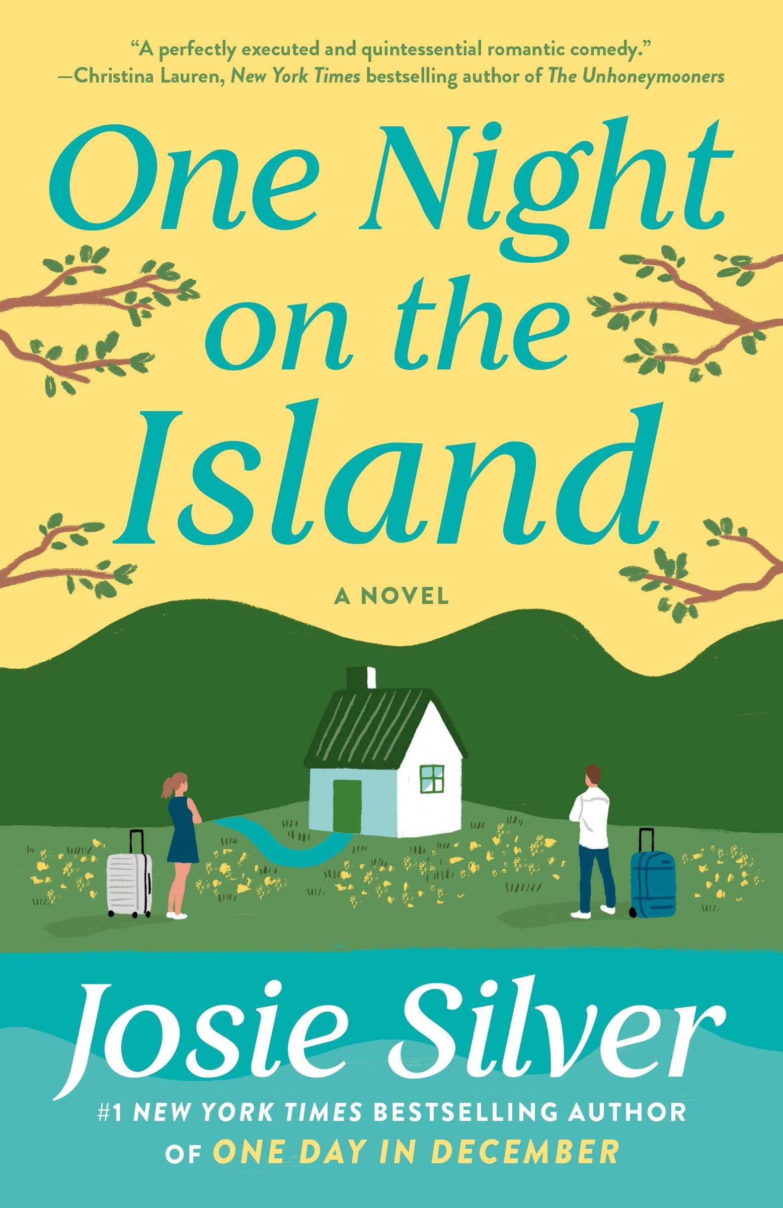 Cover of One Night on the Island