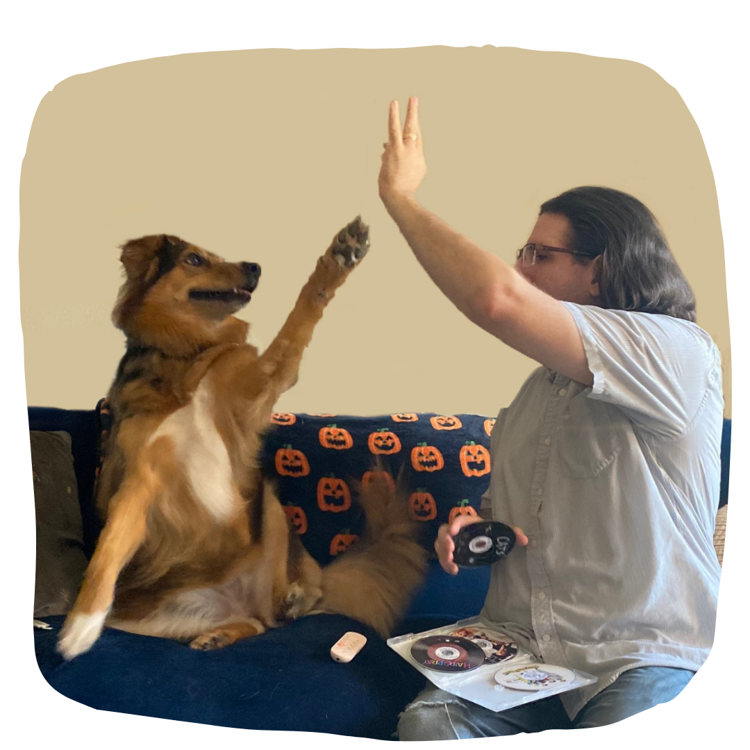 A man high-fiving a dog